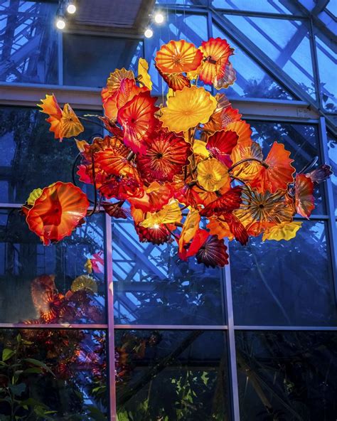 Don’t miss the largest #Chihuly collection in a botanical garden ...