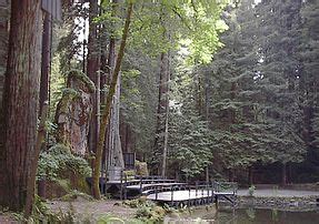 Bohemian Grove - Wikipedia