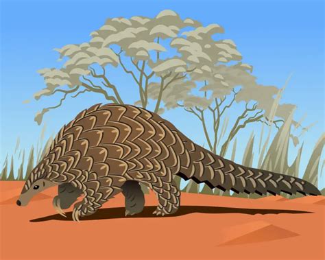 Giant Pangolin - Facts, Diet, Habitat & Pictures on Animalia.bio