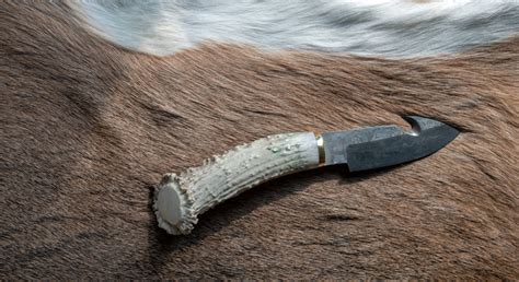 10 Best Deer Gutting Knives for All Deer Hunters - KnifeMetrics