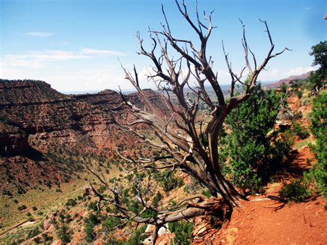 Hiking Trails in Kanab, Utah - SkyAboveUs