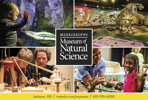 Museum of Natural Science - Mississippi Freshwater Fishing | eRegulations