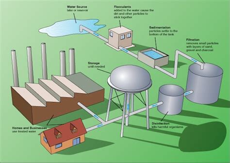 Dirty to Clean: How a Water Treatment Plant Works