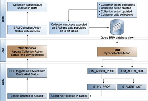 Understanding the Process Integration for Collections Management