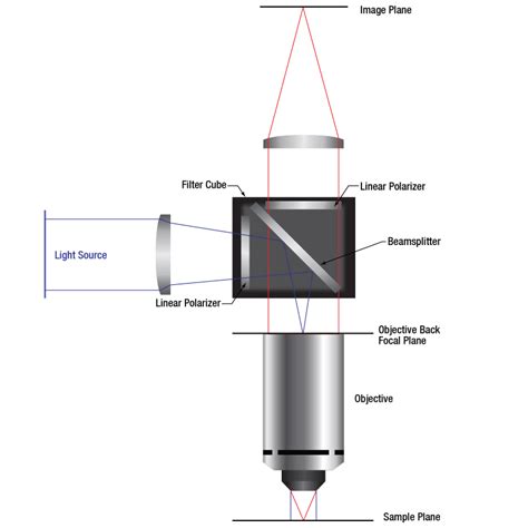 Thorlabs Polarizing Beam Splitter - The Best Picture Of Beam