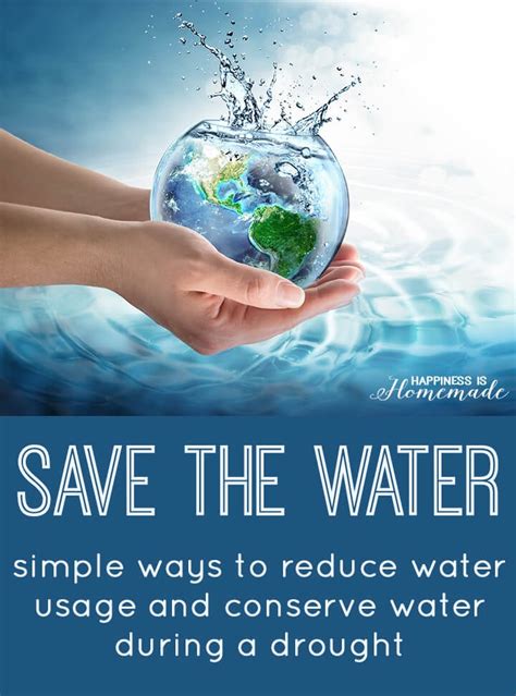 Save Water Save Life Water Facts Infographic Poster Infographic | The ...