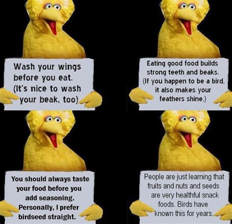 Big Bird Quotes. QuotesGram