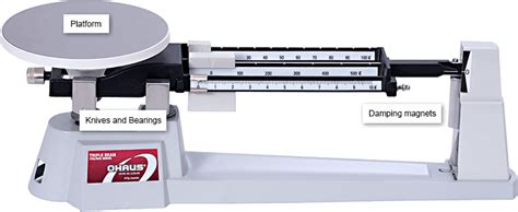 How To Calibrate Ohaus Triple Beam Scale - The Best Picture Of Beam