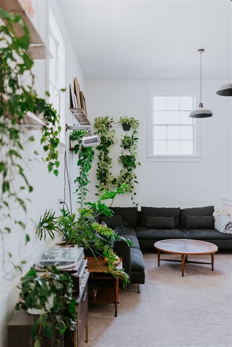 This Minimal Renovated Boho Home Has Plant and Art Displaying Ideas in ...