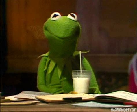 Kermit The Frog Drinking GIF - Find & Share on GIPHY