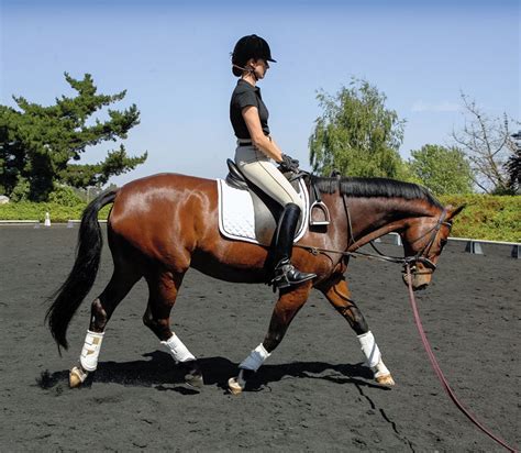 A top dressage trainer offers helpful tips on mastering the sitting ...