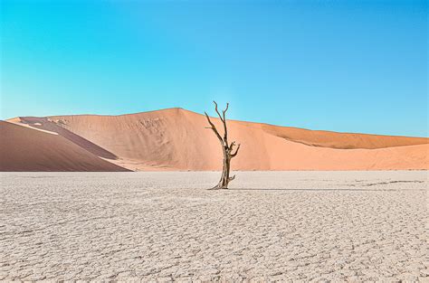 Into The Namib Desert: A Unique Experience - The Marvelous Travelers