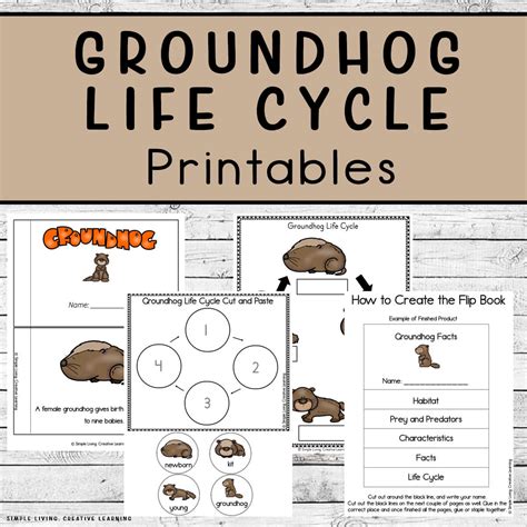 Groundhog Life Cycle Printables - Simple Living. Creative Learning