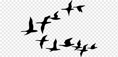 Animated Birds Flying In The Sky