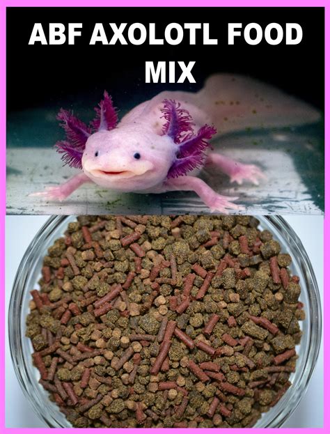 Axolotl Food | ubicaciondepersonas.cdmx.gob.mx