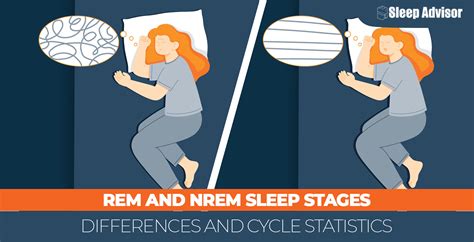 REM and NREM Sleep Stages: Differences and Cycle Statistics