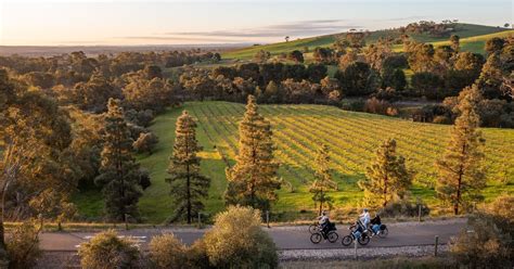 Barossa Valley: Gourmet Food and Wine E-Bike Tour | GetYourGuide