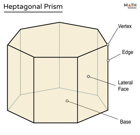 Heptagonal Prism- Definition, Formulas, Examples & Diagrams