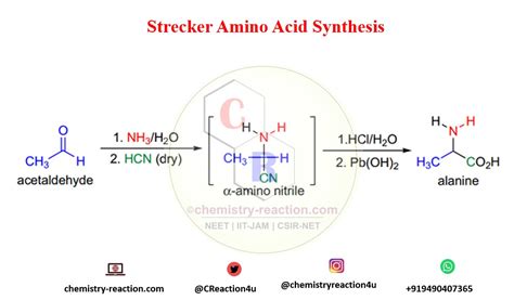 Strecker Reaction :Synthesis of Amino Acids| Mechanism