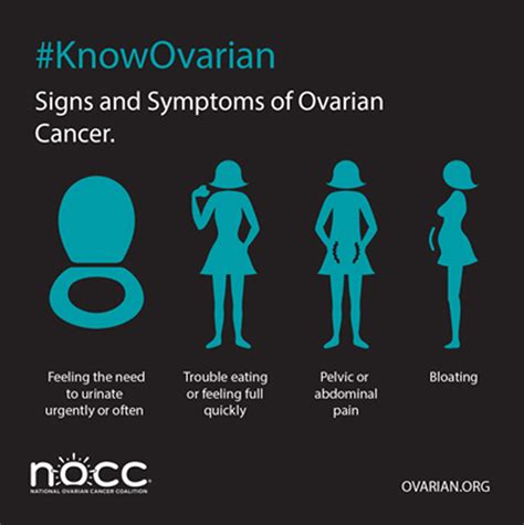 Signs and Symptoms of Ovarian Cancer- What you Need to Know - View Blog ...