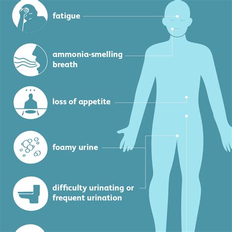 How Can Diabetes Cause Renal Failure - DiabetesWalls