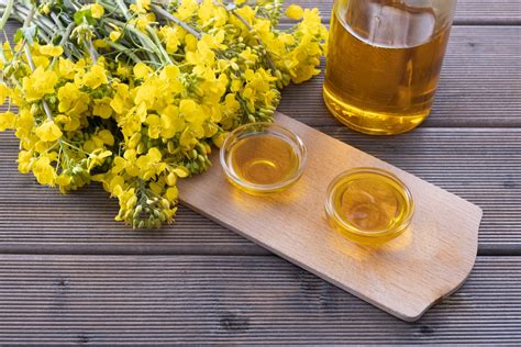 The 7 Best Canola Oils in 2022