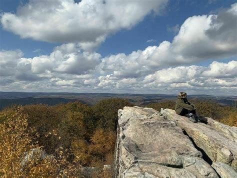 Off The Beaten Path In Savage River State Forest, You'll Find A ...