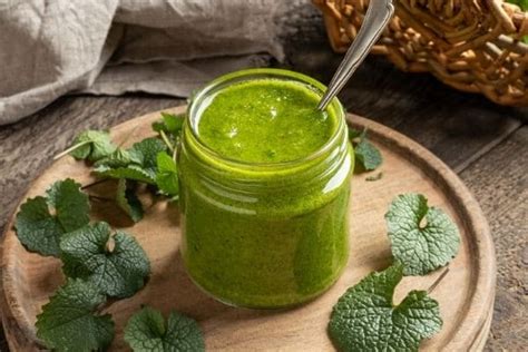 16 Garlic Mustard Recipes & Uses for Garlic Mustard Plant