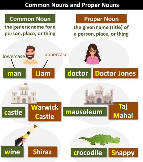 Common Nouns: Explanation and Examples