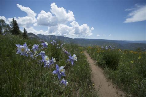 Hike – Durango Trails