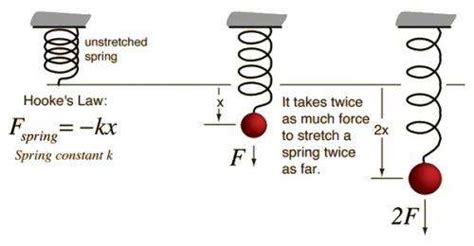 Energy Worksheet Springs And Hooke's Law/conservation Of Ene