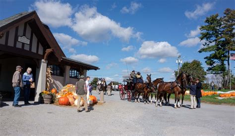 The Pumpkin Patch — High Lawn Farm