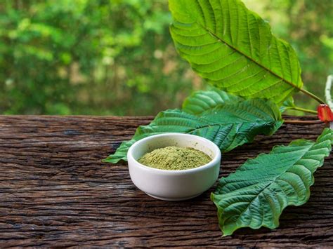 What are the Benefits of Kratom? - CBDO