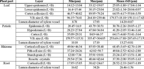 Quantitative anatomical characters of different plant parts of B ...