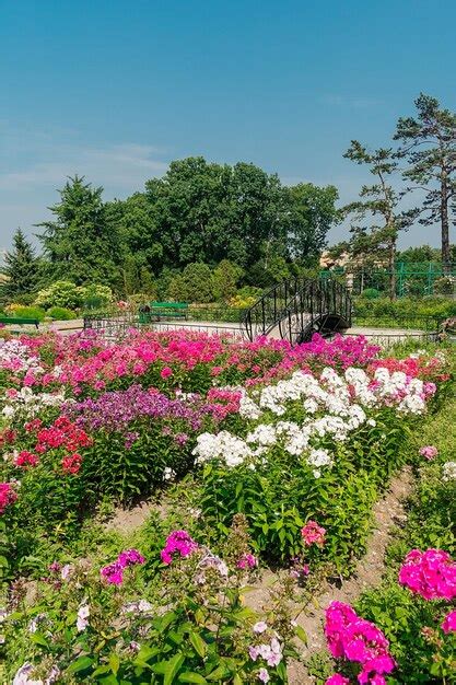 Premium Photo | A park full of pink flowers flower garden