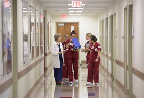 Texas A&M College Of Nursing Earns National Award As Center Of ...