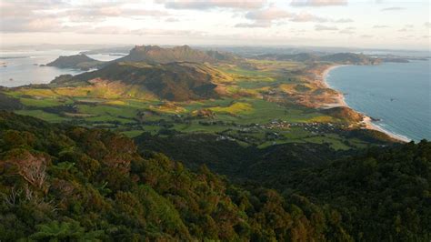 Whangarei Heads Landcare Forum « Backyard Kiwi