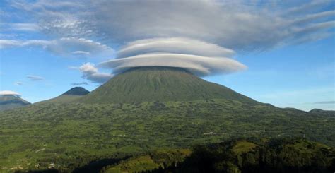 Volcanoes National Park - Rwanda national park, gorila trekking