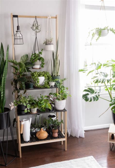 DIY Tiered Plant Stand: Easily Fit More Plants With This Solution