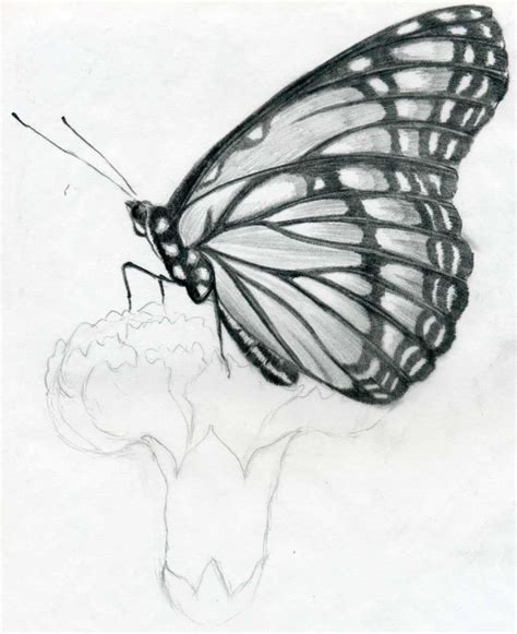 Easy Butterfly Drawing For Kids. Drawing For Kids love butterflies ...