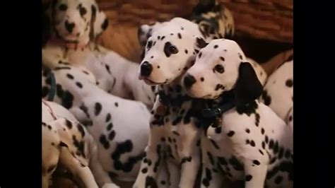 Did They Use Real Puppies In 101 Dalmatians