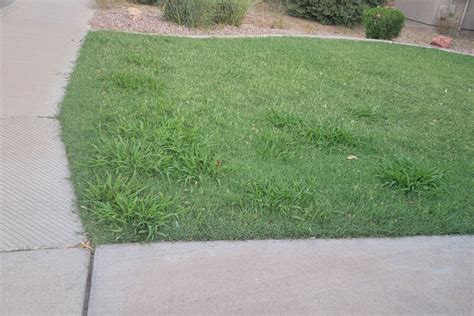 5 Benefits Of Grass Turf Installation | JMH Turf