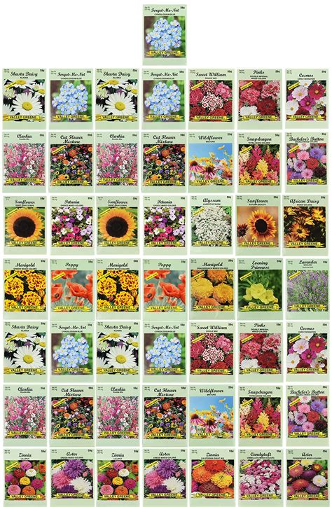 Buy Set of 50 Flower Seed Packets! Flower in Bulk, 15 or More Varieties ...