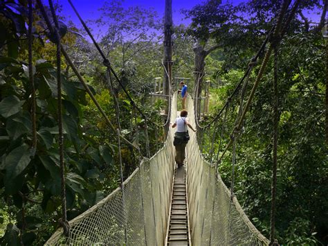 Amazon Tour in the Jungle | VisitBrazil.net