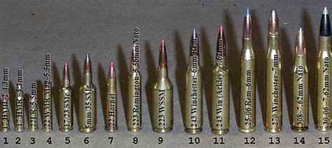 Ammo and Gun Collector: Common Rifle Caliber Comparison Chart