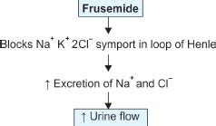 Furosemide Mechanism Of Action