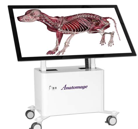 Anatomage Table Vet | BioLEAP