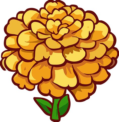 marigold png graphic clipart design 23623248 PNG