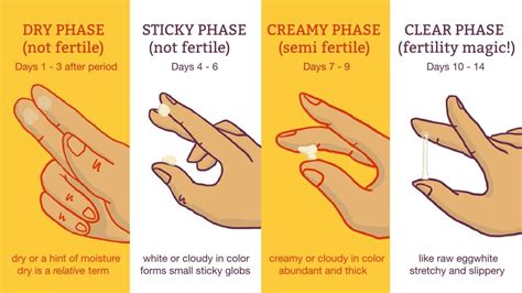 Discharge After Ovulation If Pregnant - Is Early Pregnancy Discharge ...