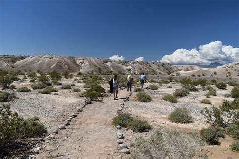 Explore An Incredible Fossil Bed At Ice Age Fossils State Park In Nevada